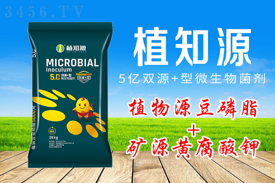 һ����ֻ���a20���ﶹ��֬��ԭ��+���g���@���aƷ�����u�����ط���