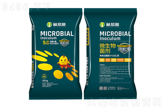 ΢����������׺����ģ���ʲô�ܽ�Qʩ�ʲ����a�y�}��