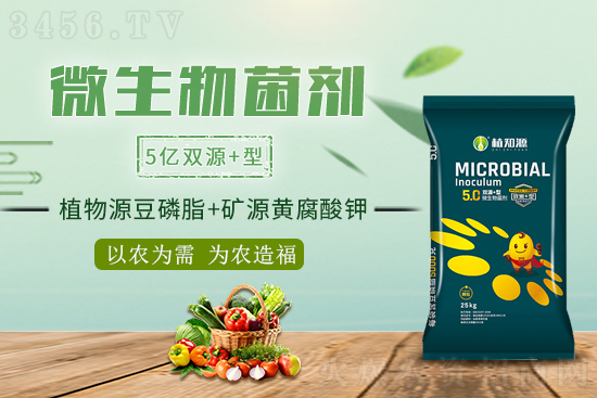 ΢����������׺����ģ���ʲô�ܽ�Qʩ�ʲ����a�y�}��