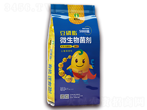 �����{���Ͷ���֬΢�������-ֲ֪Դ-��Ӣ���Q